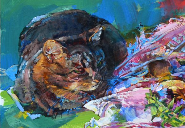 Натюрморт с котом - картина маслом с животными